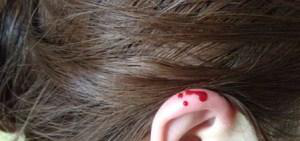 圖片3.png 圖片3.png