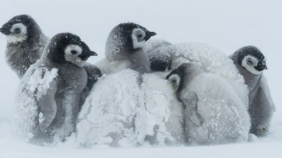 圖片1.png 圖片1.png