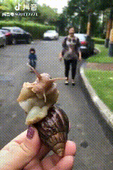 微信圖片_20190820133218.gif 微信圖片_20190820133218.gif