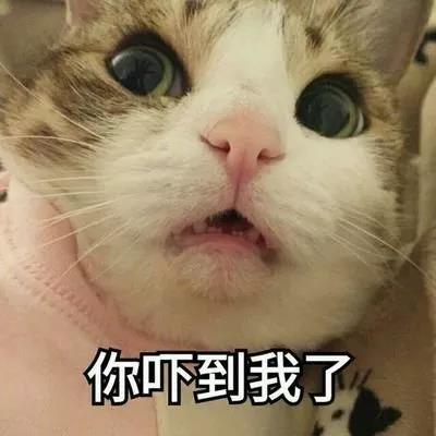 微信圖片_20190820141553.jpg 微信圖片_20190820141553.jpg